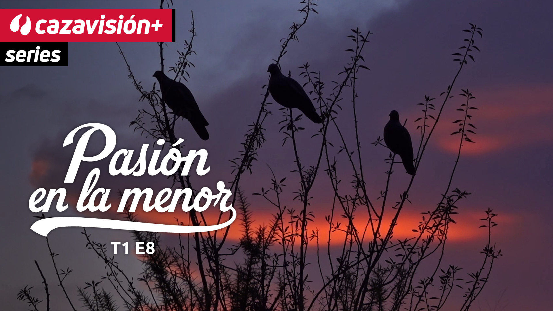 Cimbeles entre amigos