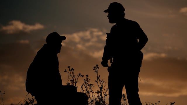 Guarros por daños con arco