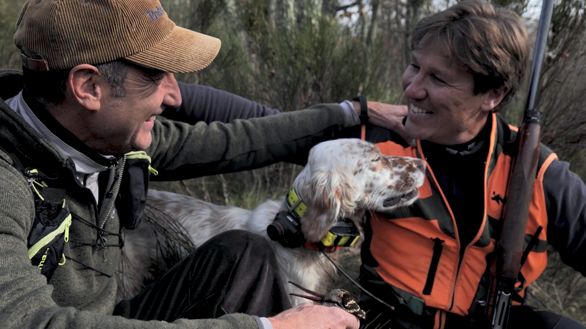 Los secretos de la becada. La caza y los perros