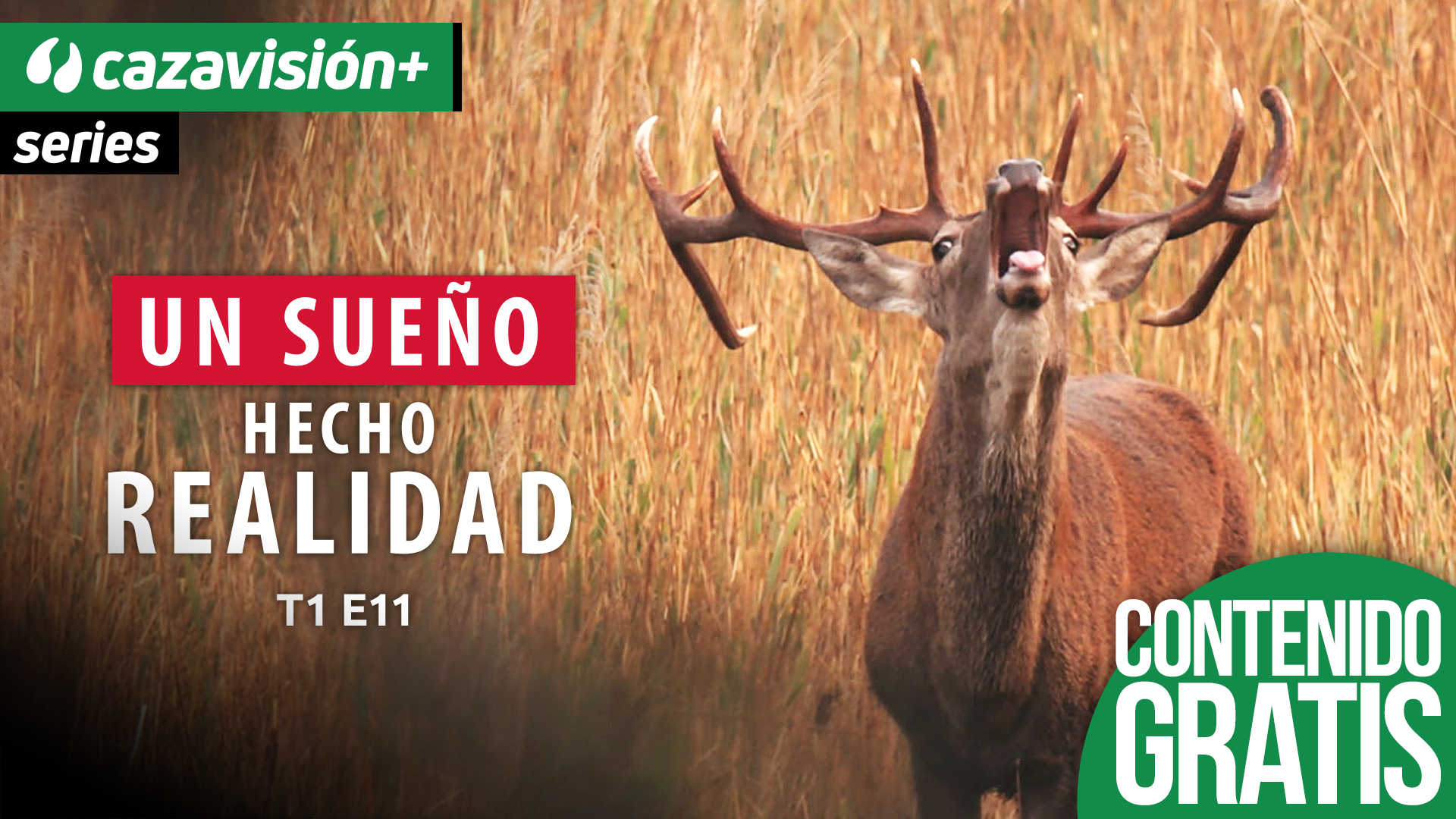  Cazando en Riaño. La berrea