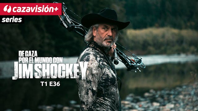 Cola blanca con arco en otoño