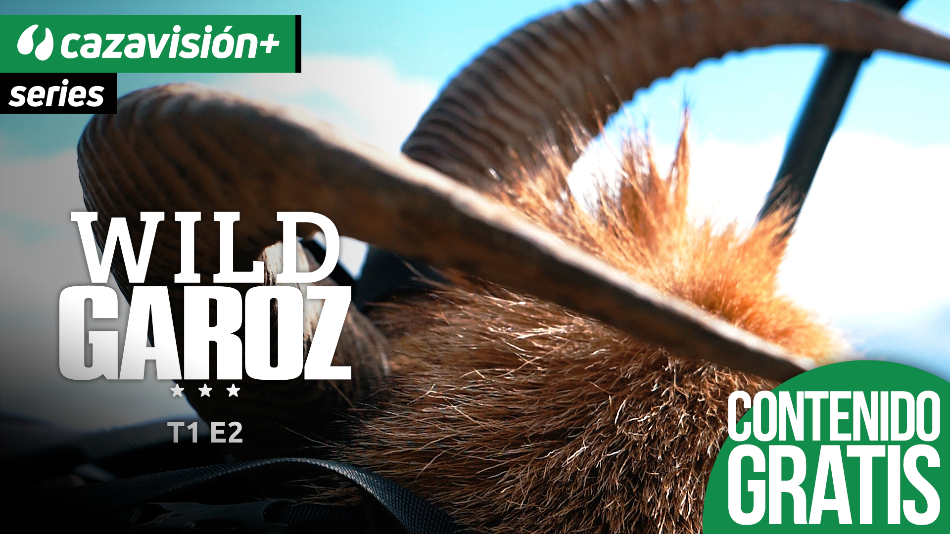 Las barbas de tierra y mar