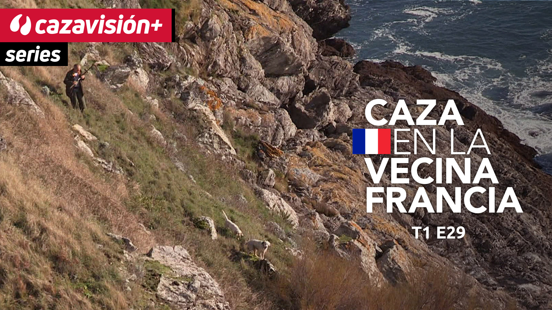 Cazadores y perros franceses, tras liebres, becadas y perdices