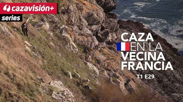 Cazadores y perros franceses, tras li...