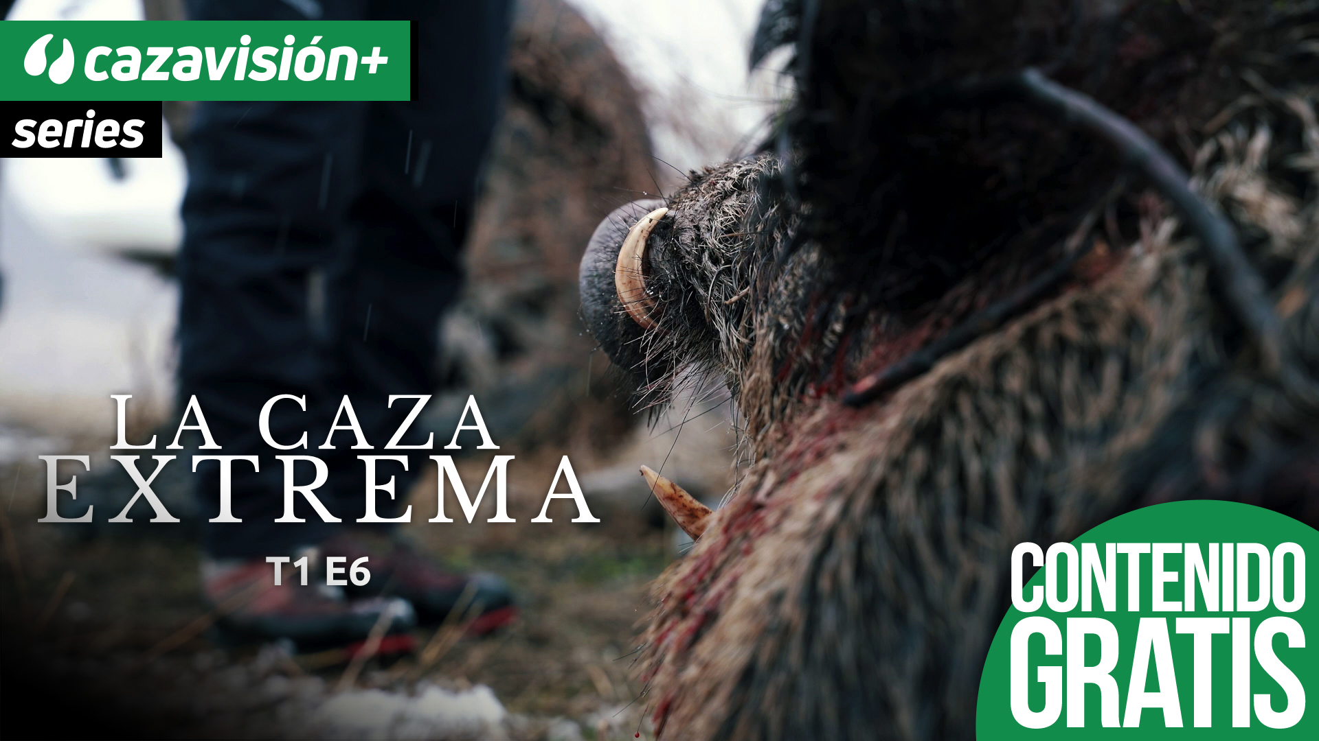 Entre lobos y navajas