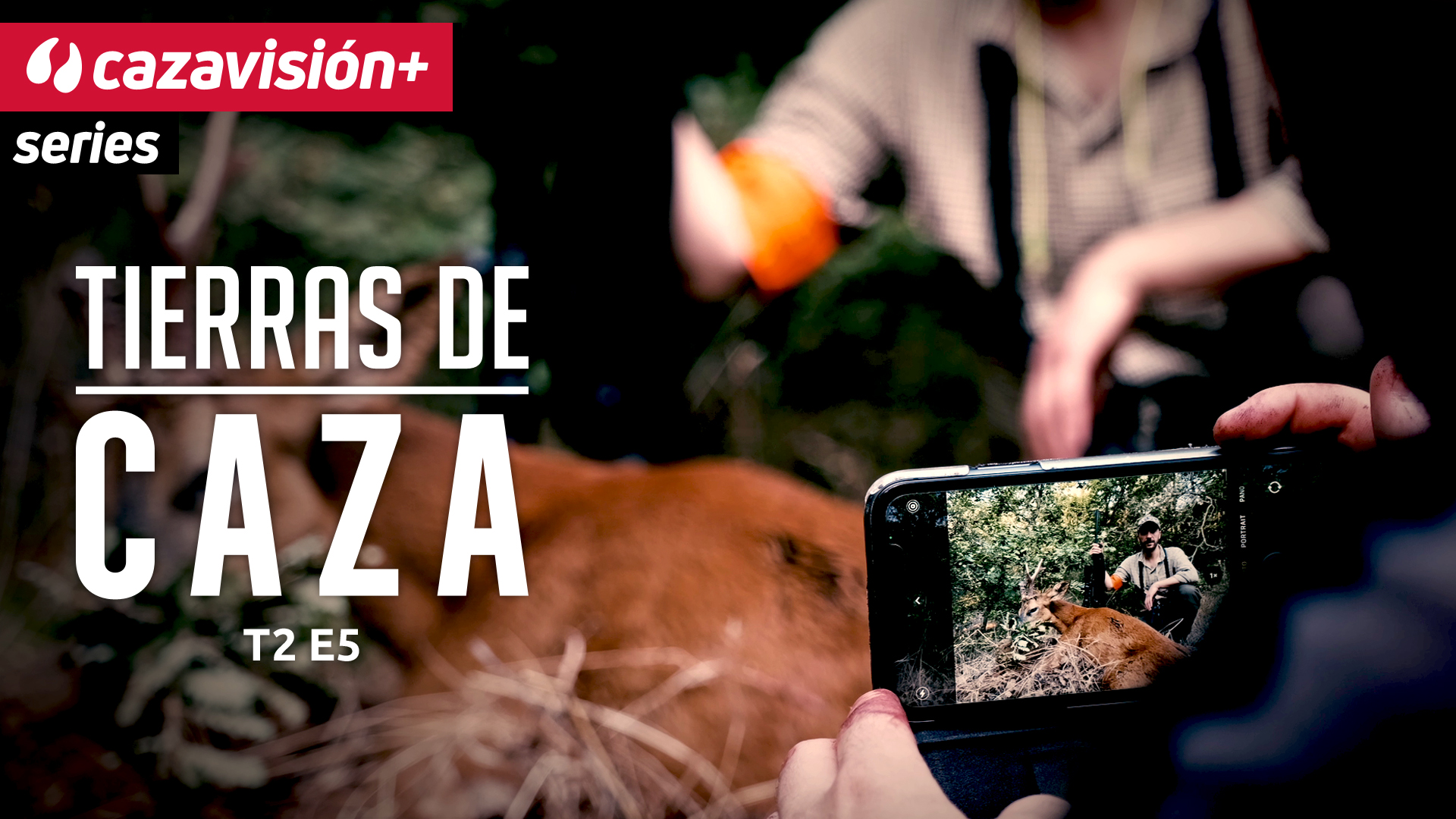 Corzo en el Pirineo Francés