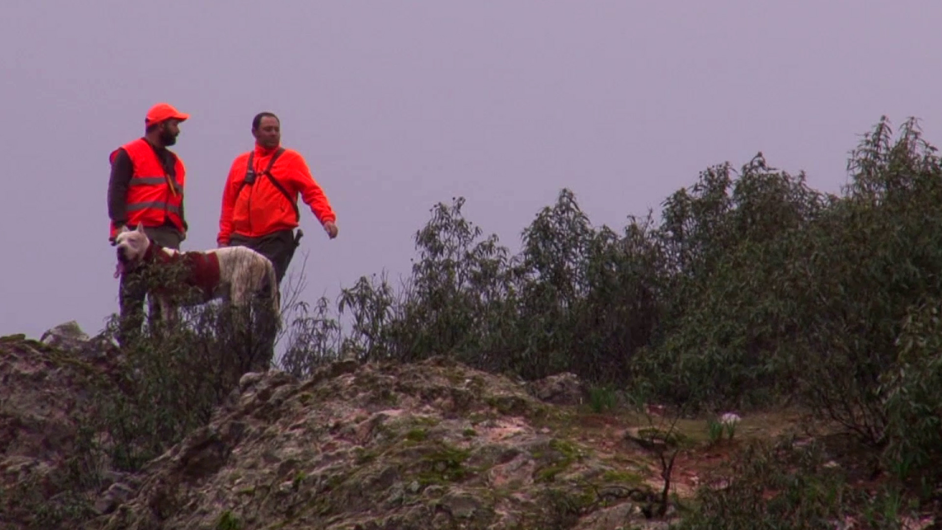 Montería con lluvia y viento en Las Pilas