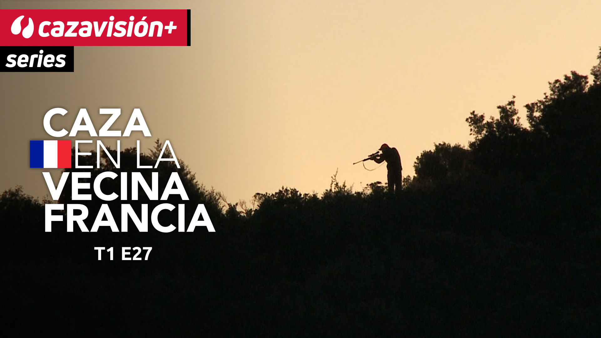 Batidas y recechos de jabalíes en Córcega