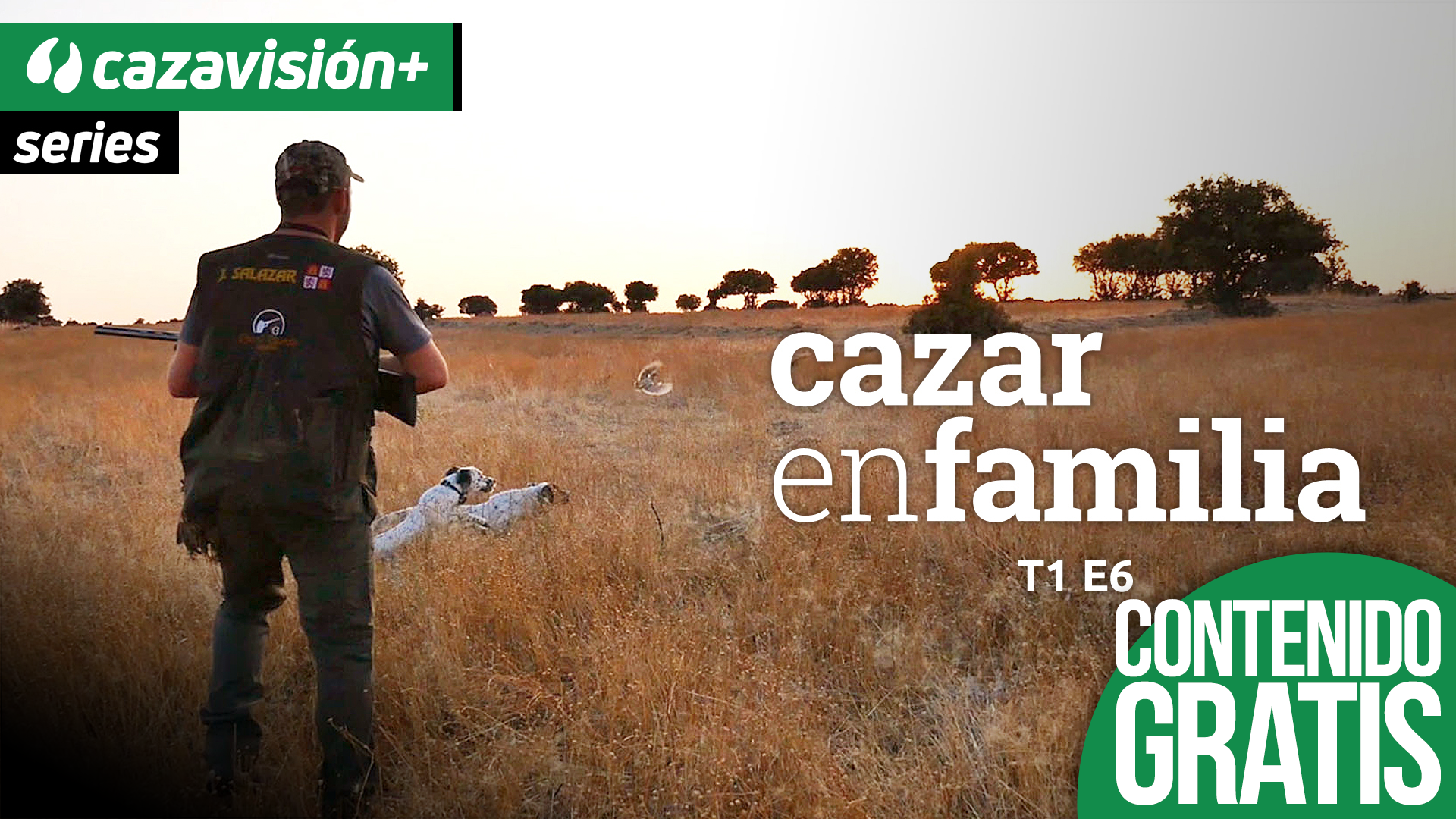 Cazar en familia: Primer día de codornices