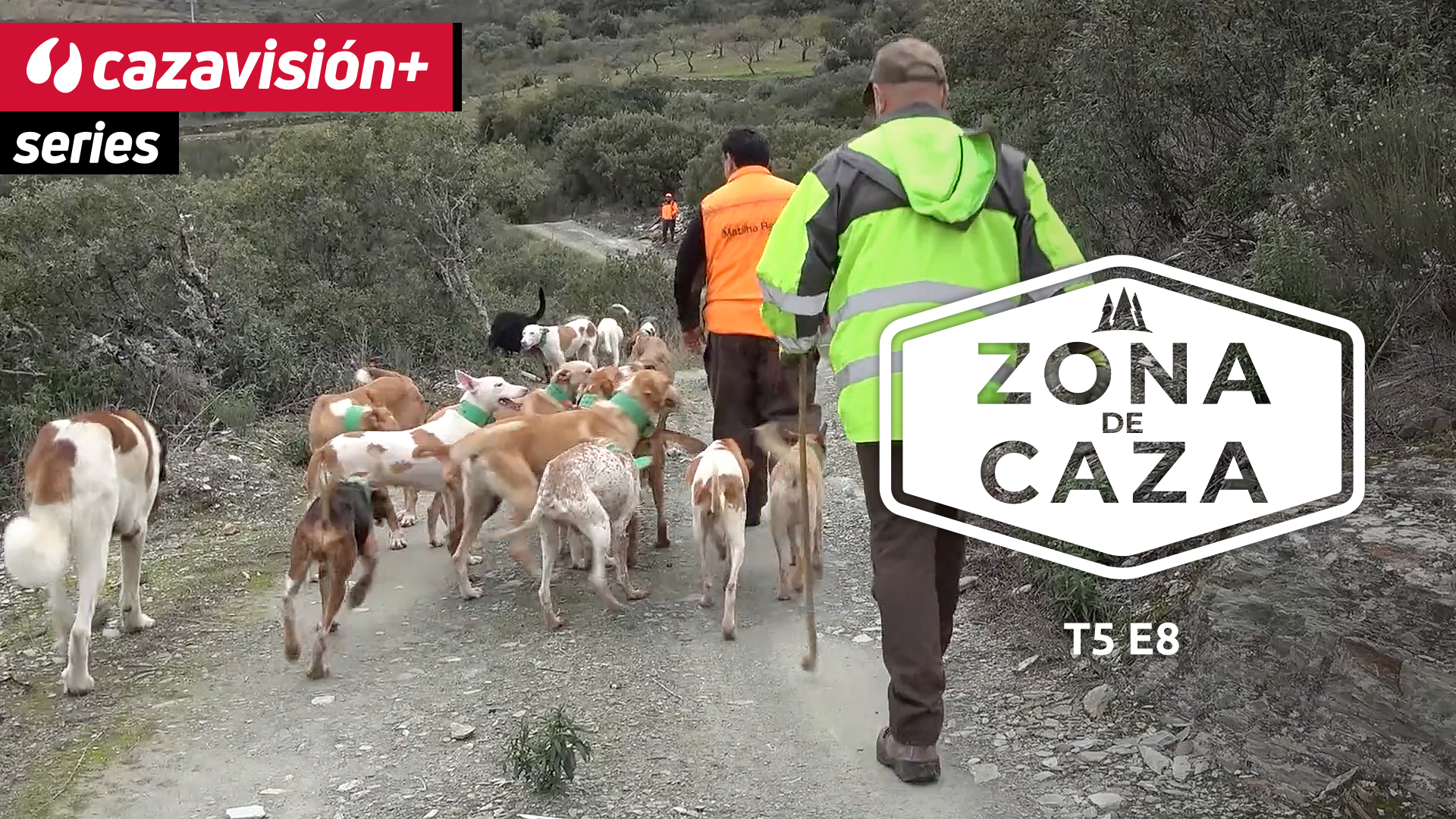 Fin de semana montero en la Ribera Alta