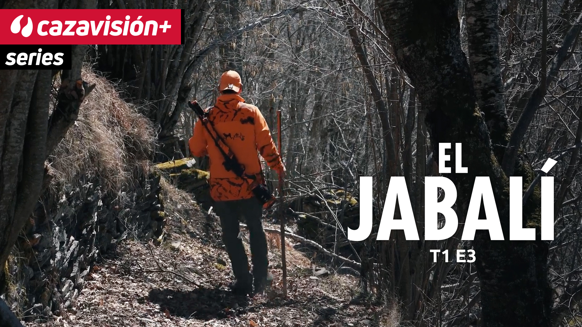 Montañas y jabalíes