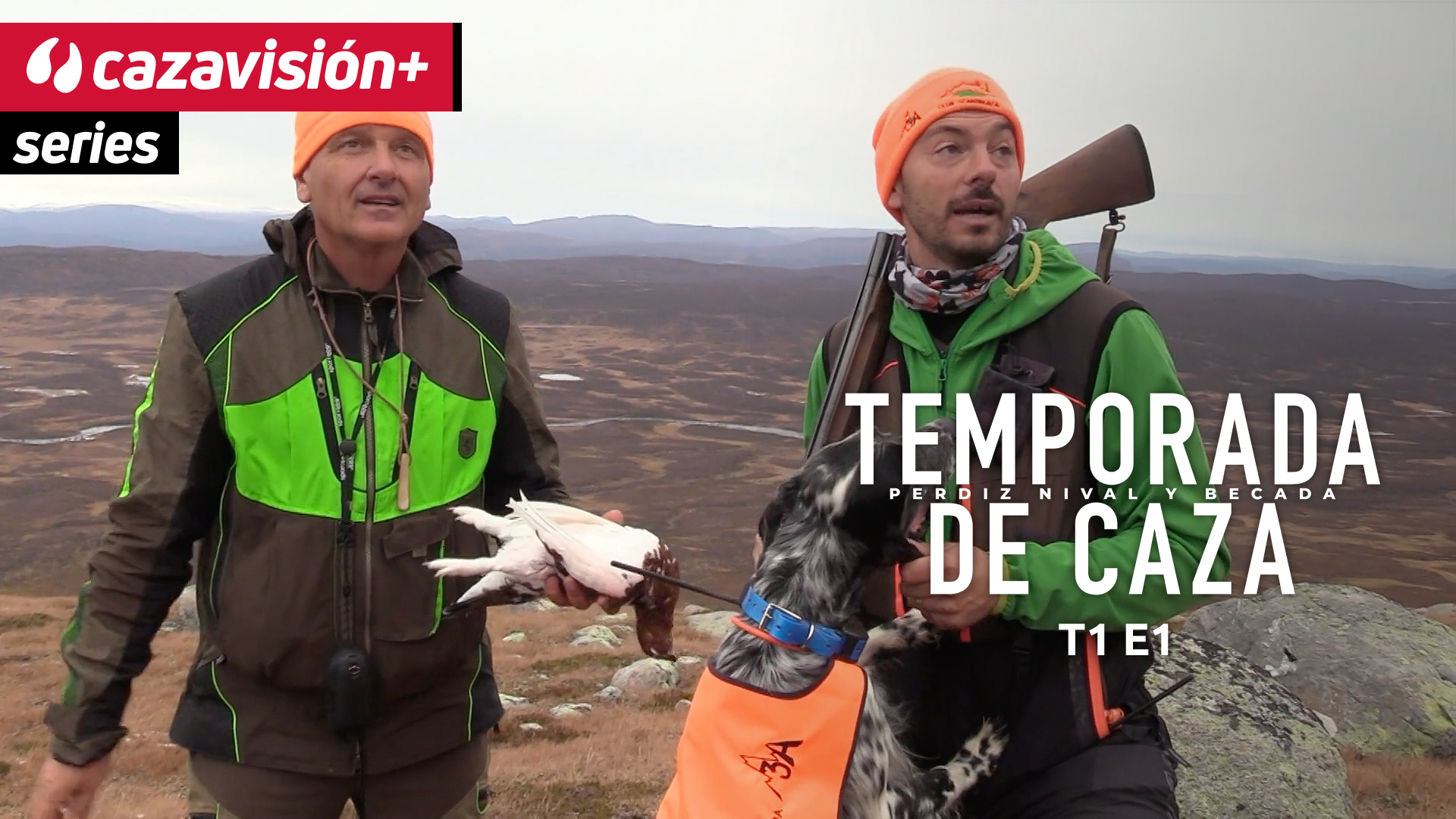 La fiebre lapona por la perdiz nival 1