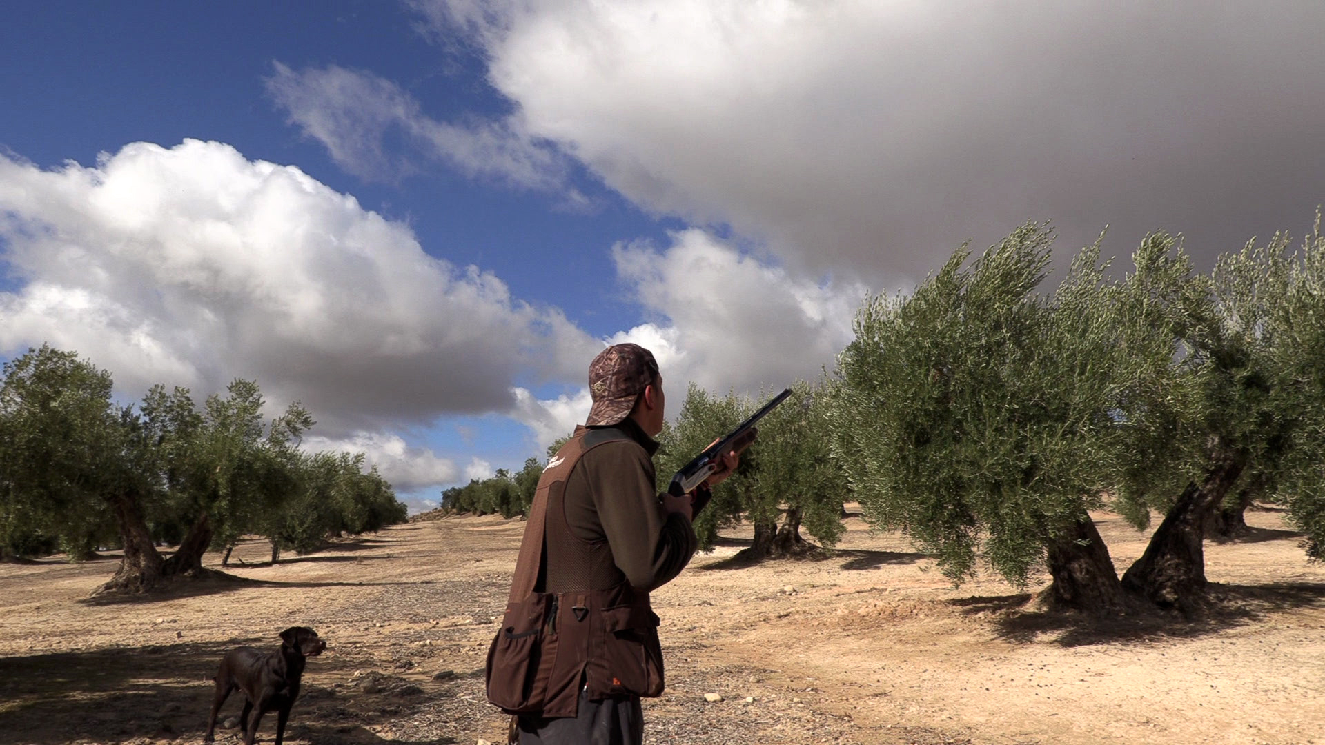 Tras los zorzales en Mancha Real