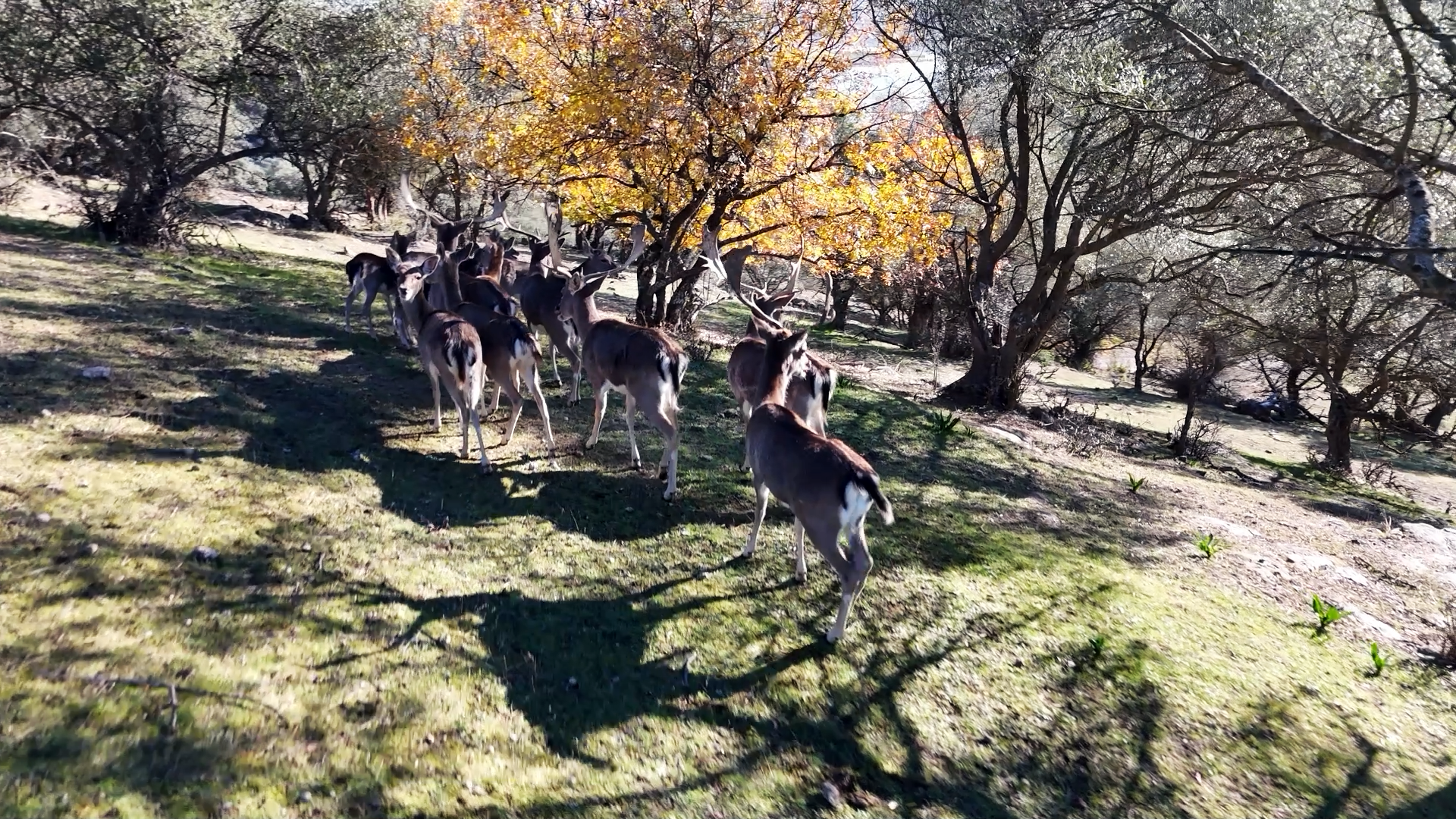 Montería en el Arco