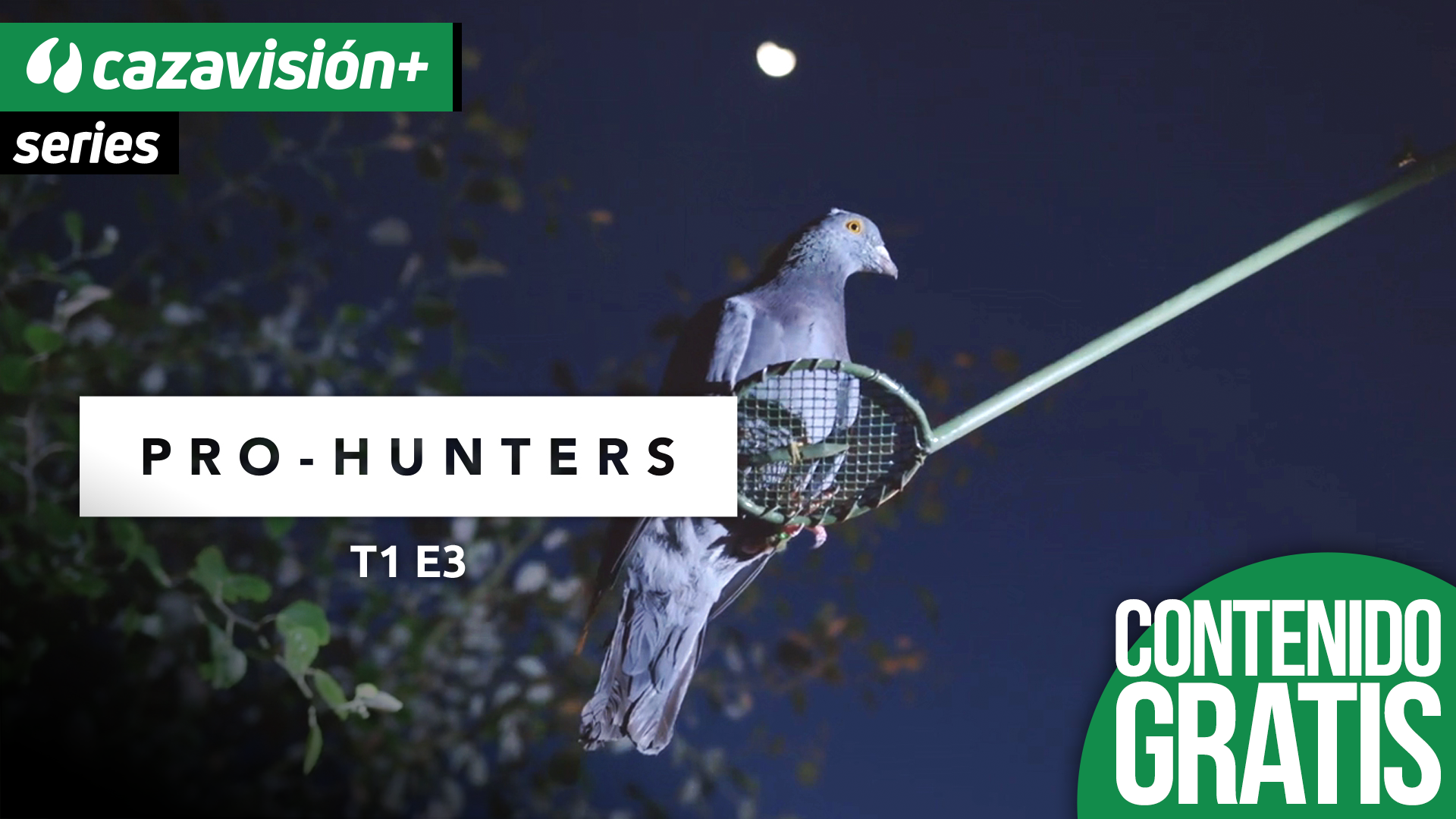 Palomas a cimbel. Iván y Aníbal