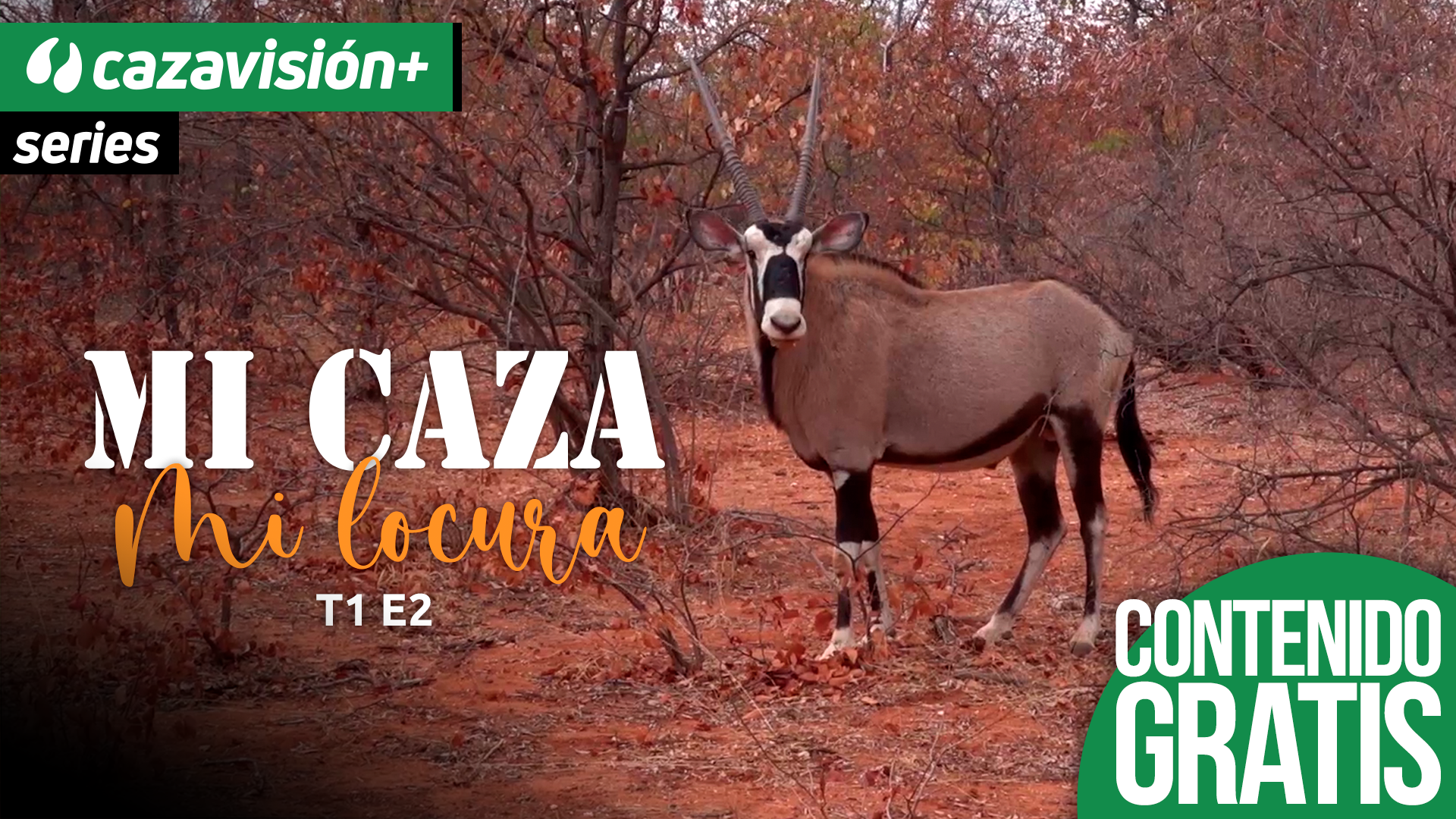 Un joven cazador en África