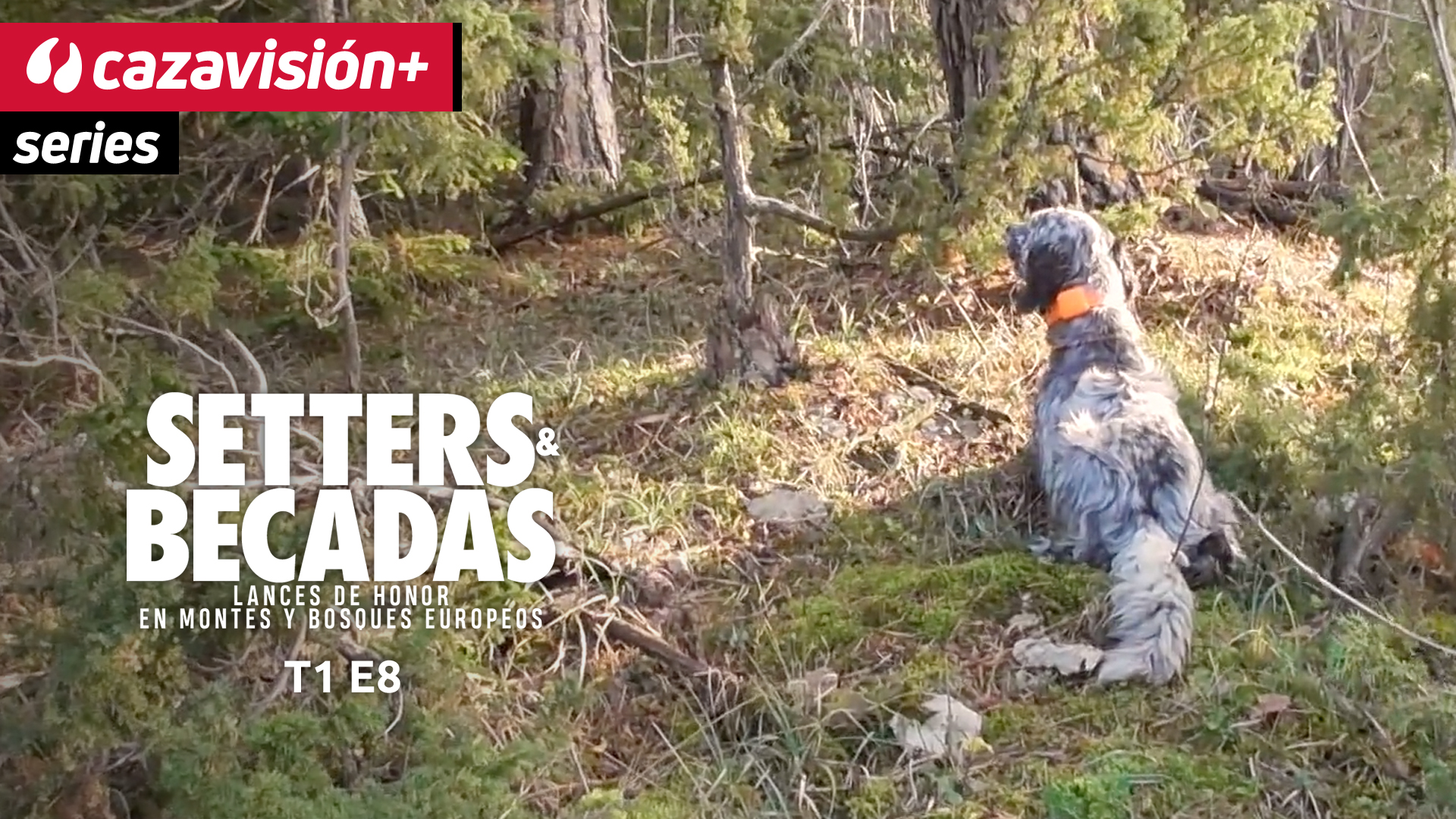 Fin y principio. Balance y preparativos