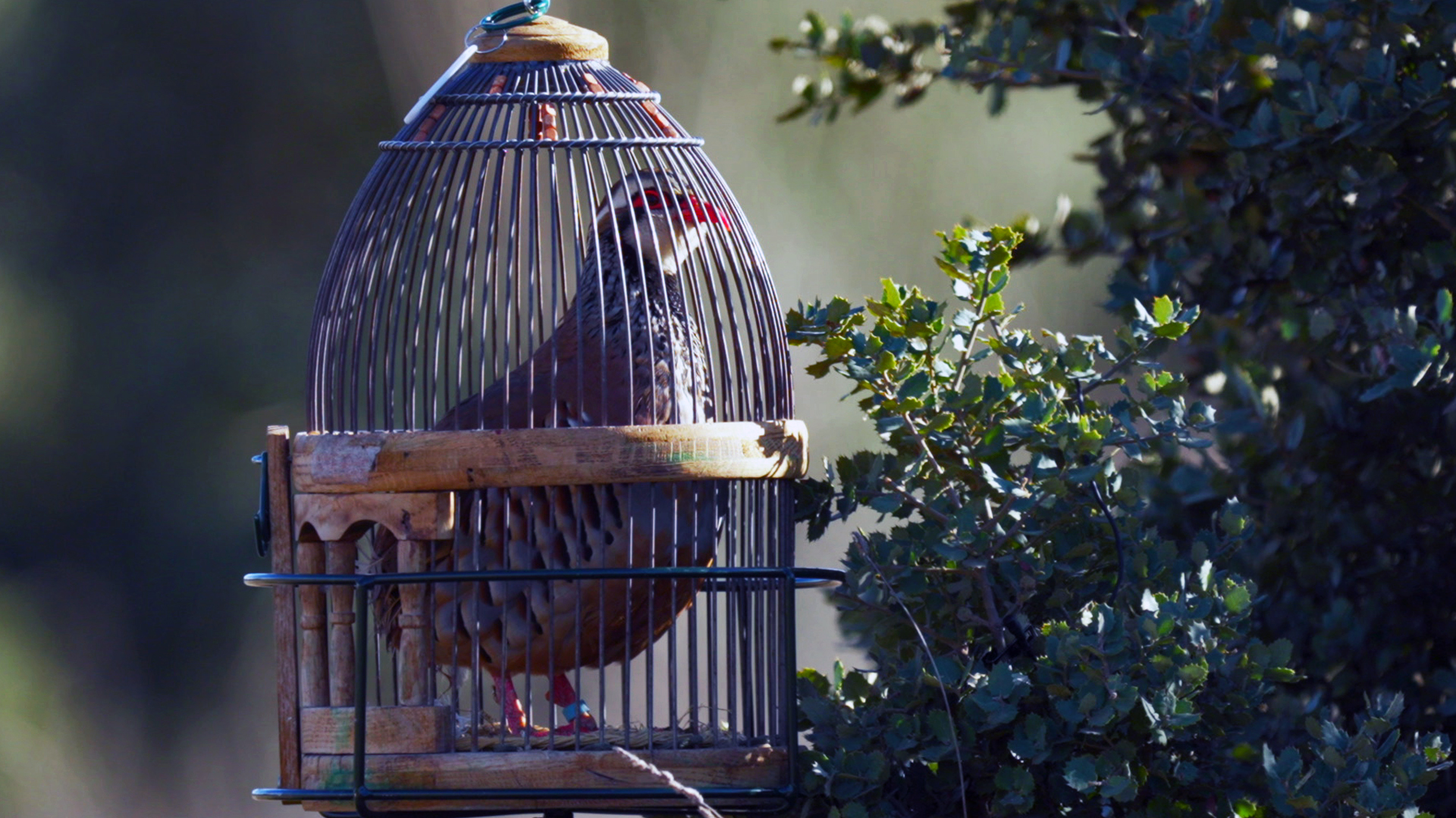 Reclamando de padres a hijos