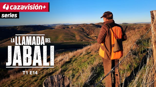 La llamada del jabalí 14