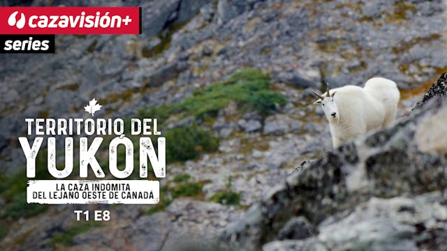 Tras la huella de la cabra blanca