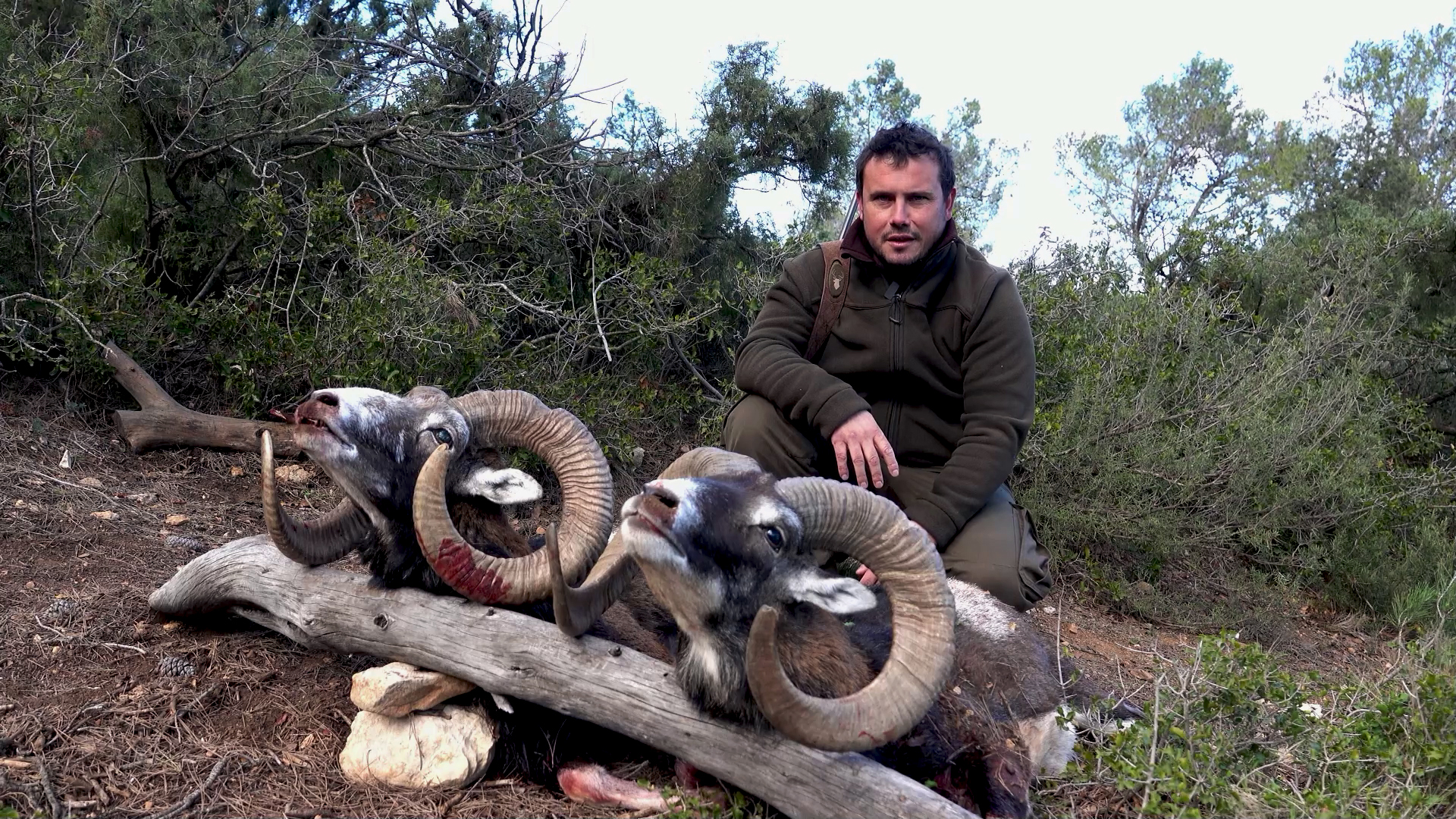 Monteando en La Pedriza