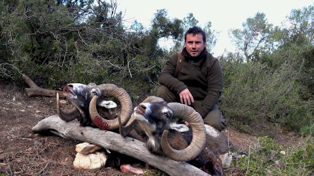 Monteando en La Pedriza