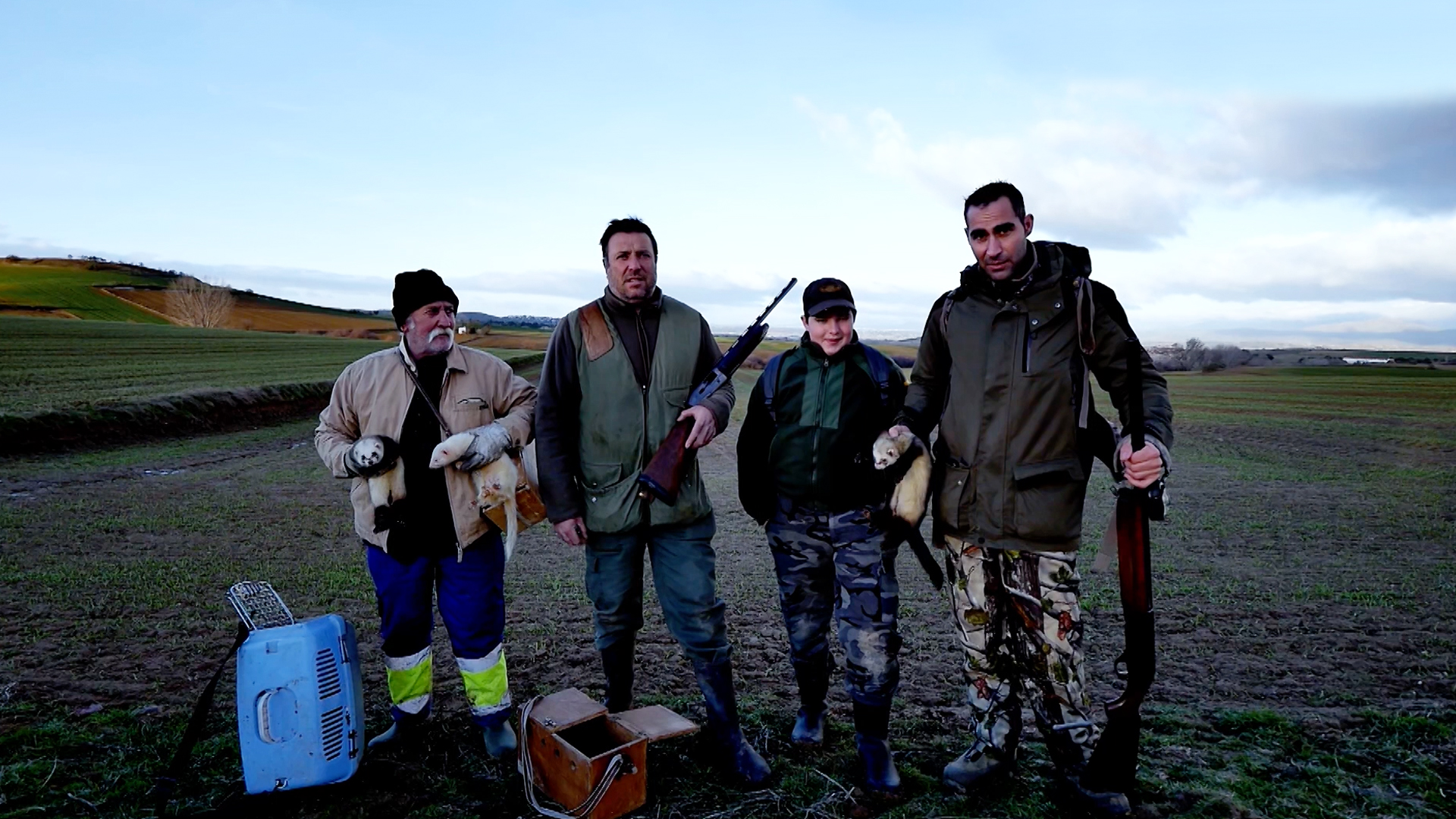 Problemas de conejos en el norte de Madrid
