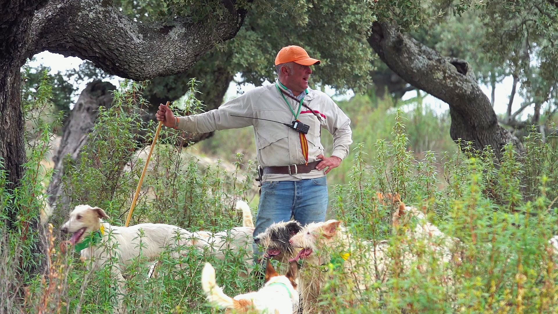 Montería en el Campo Charro