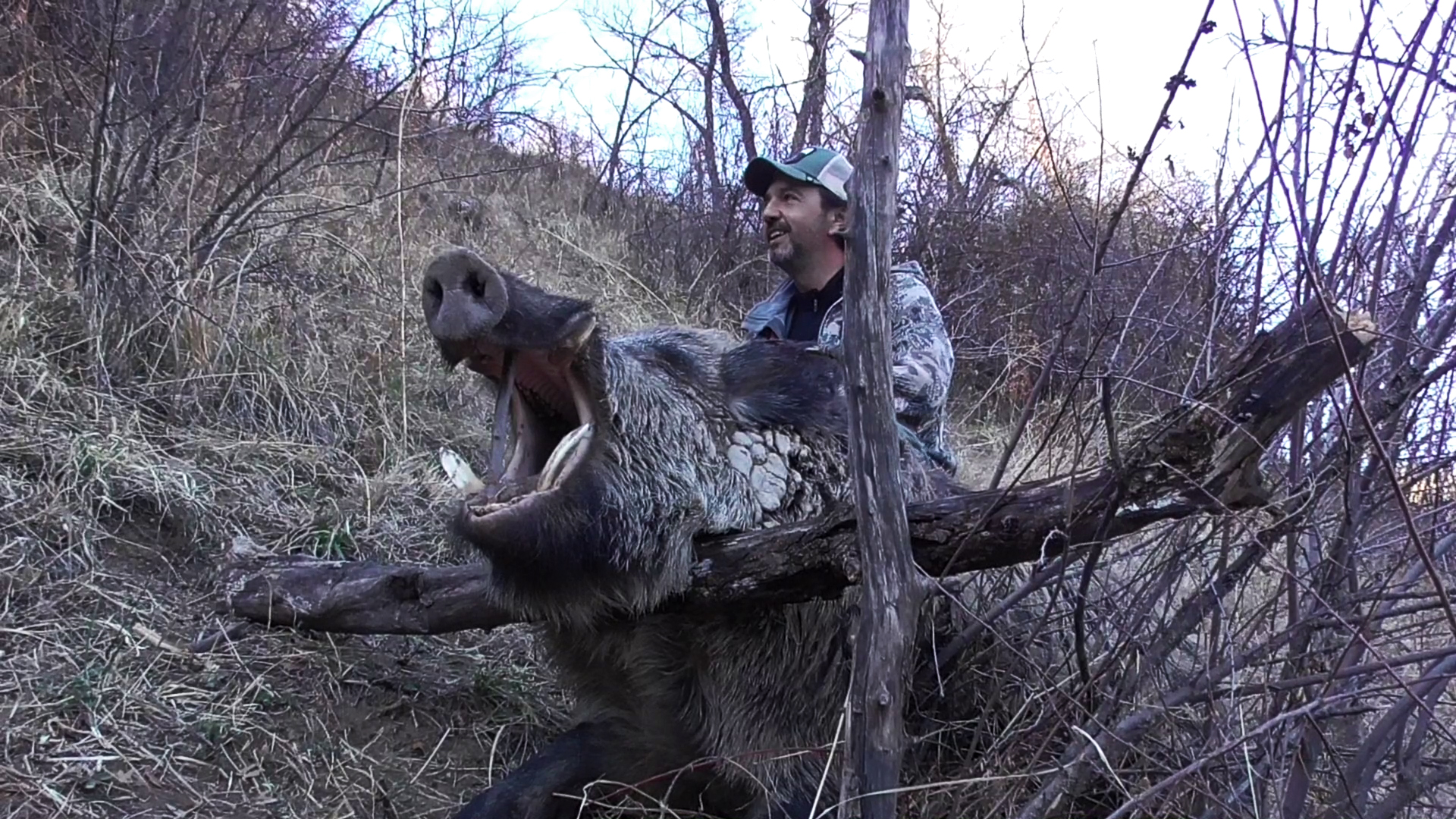 Tayikistan. Última frontera de jabalíes colmilludos 3