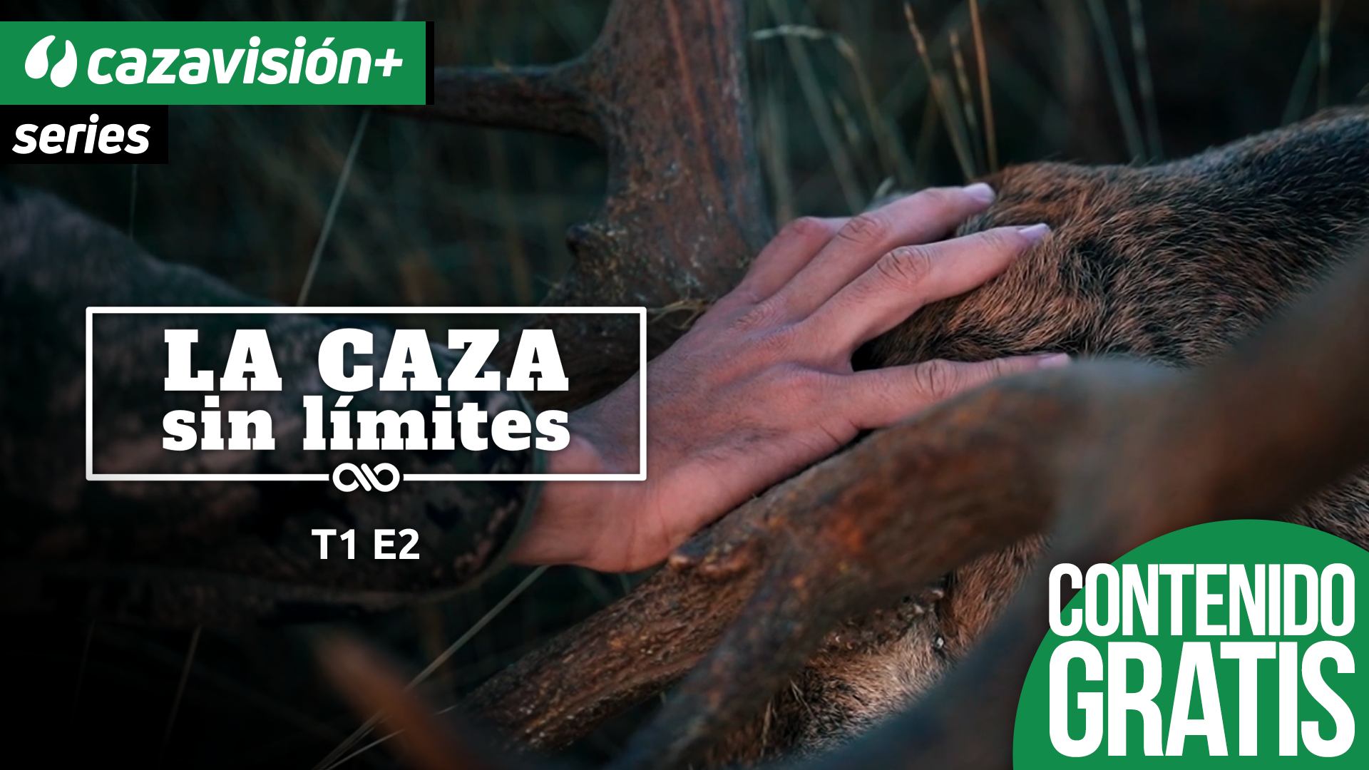 Tras los reyes del bosque palentino II