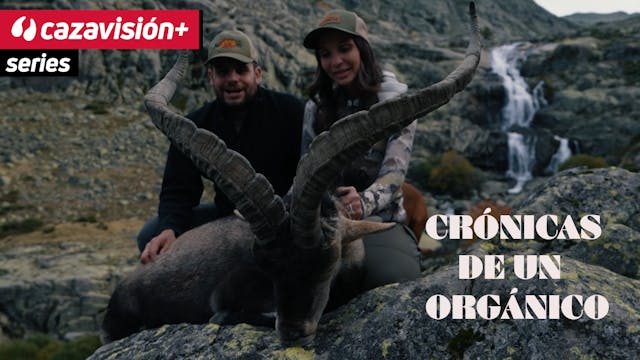 Crónica de un orgánico. Gredos