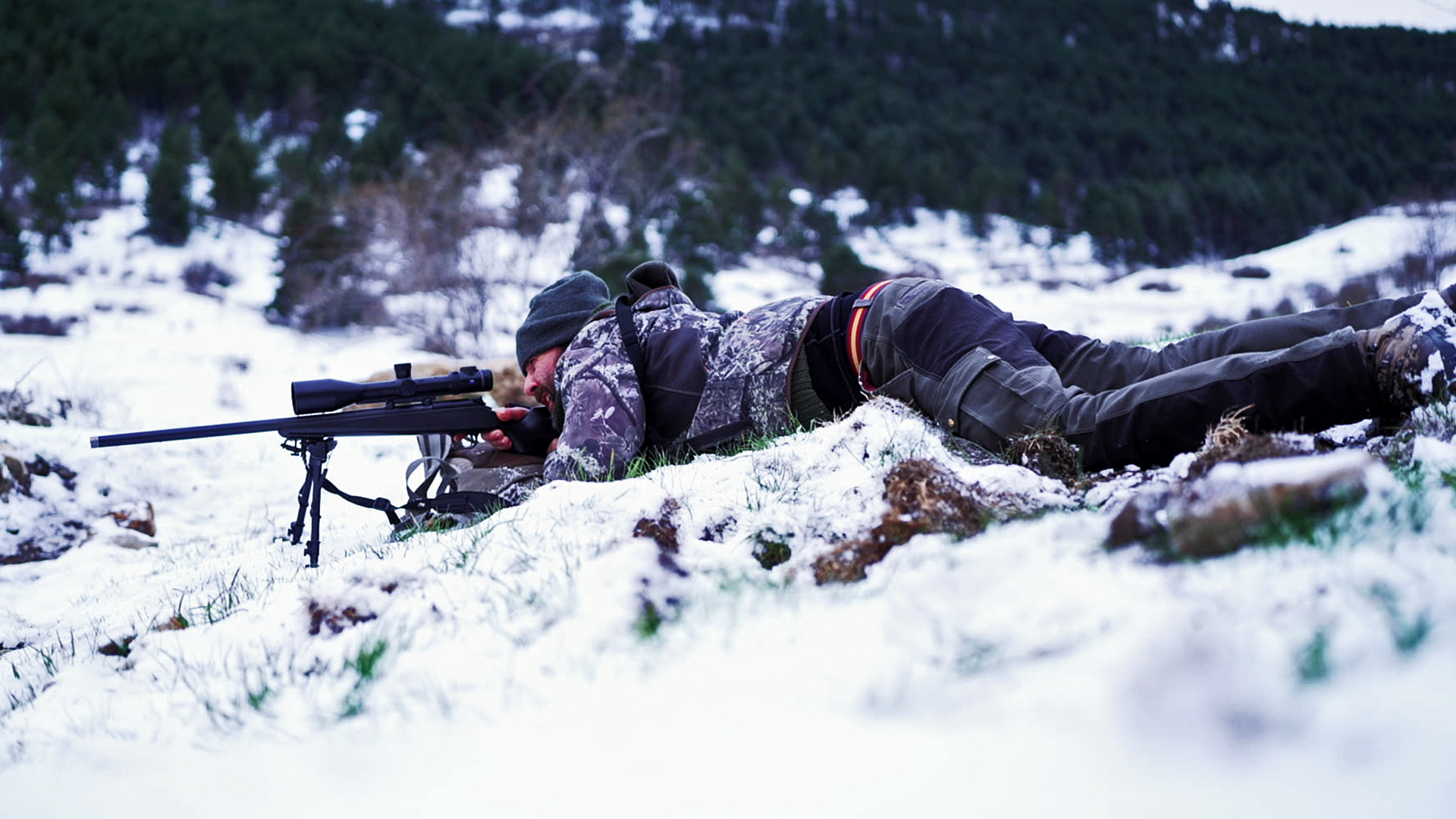 Viento, nieve y corzos