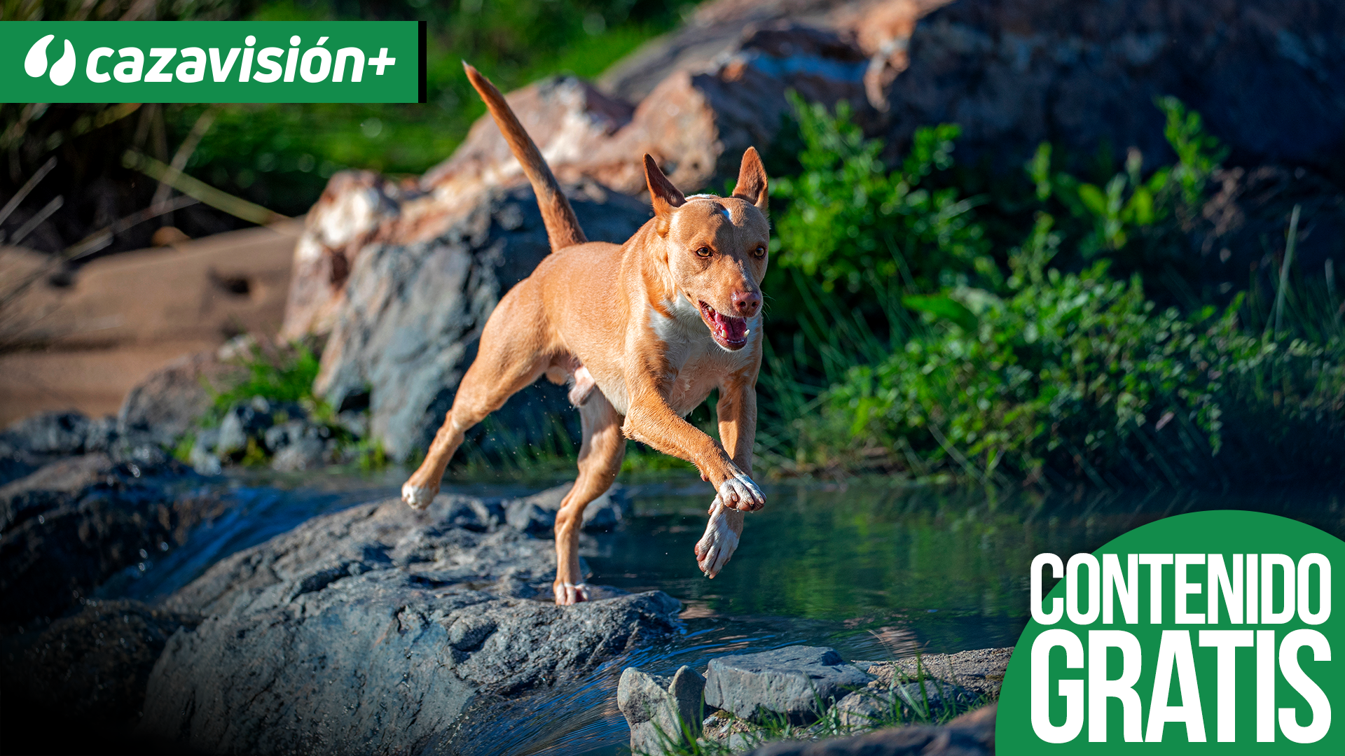 A diente con Juan Carlos Peris