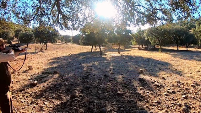 Monteando el Quejigal