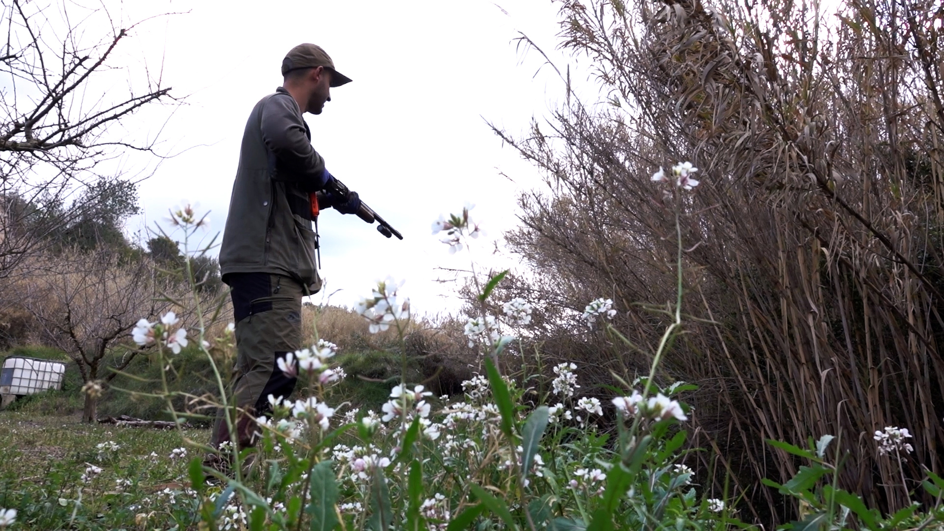 Limpieza de barrancos con jadg terrier