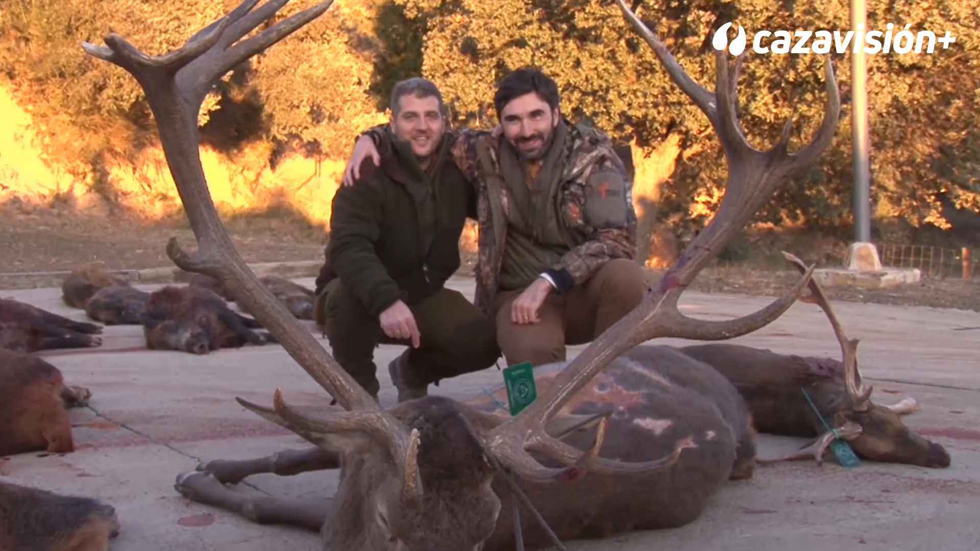 Montería en La Ermita
