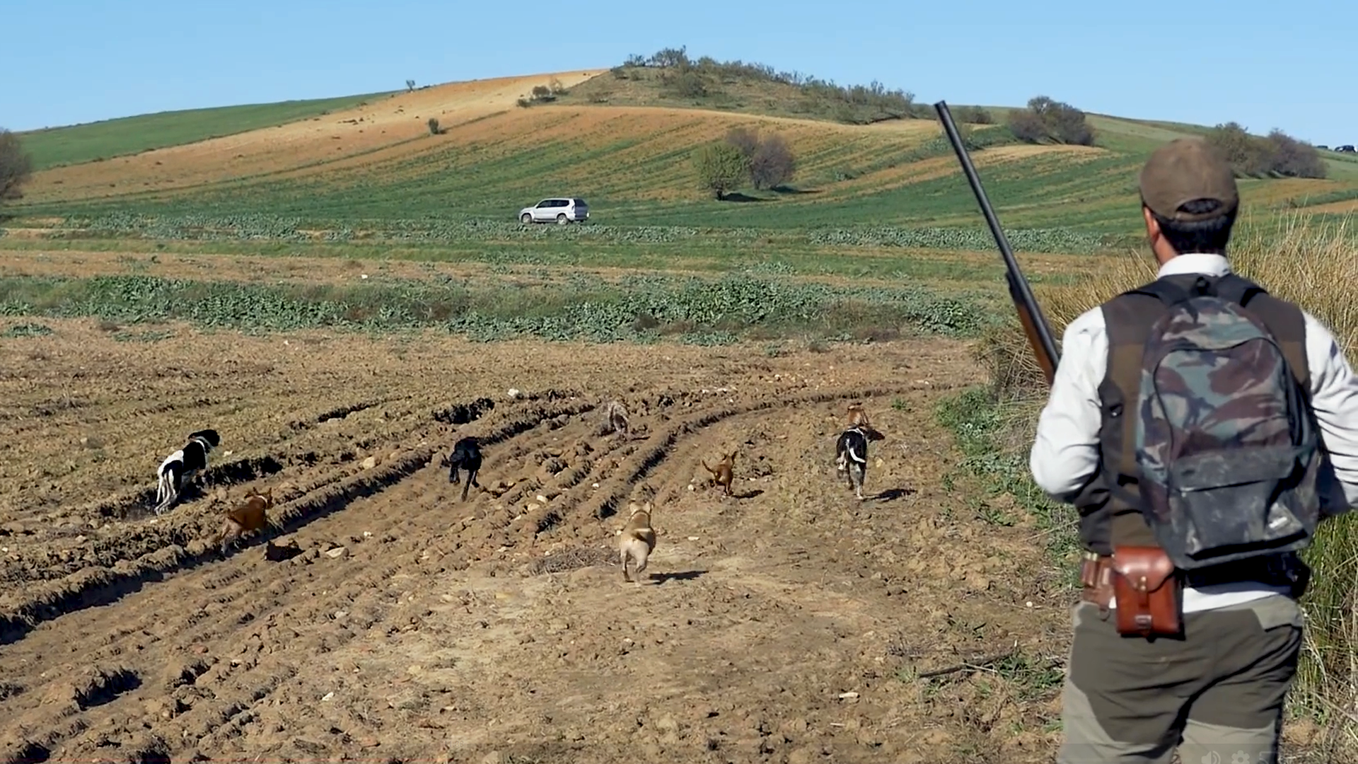 Conejos a ciegas en Junquera