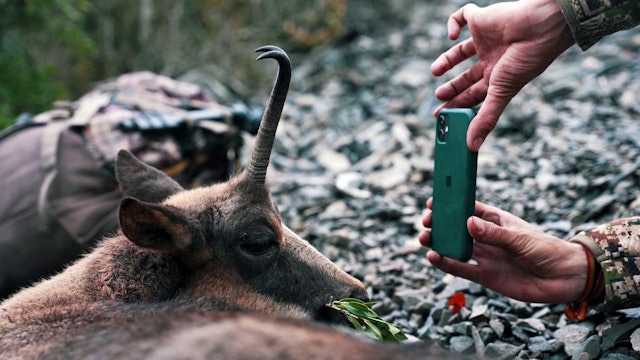 Caza de montaña: Esfuerzo y superación