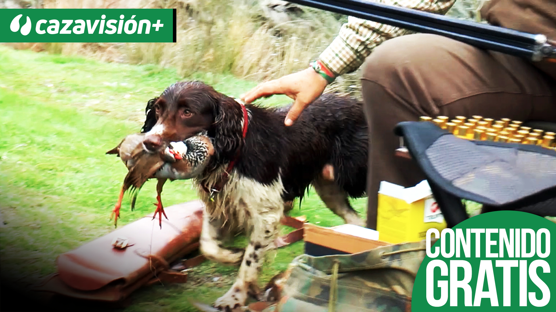 Las perdices de Fernando Seixas