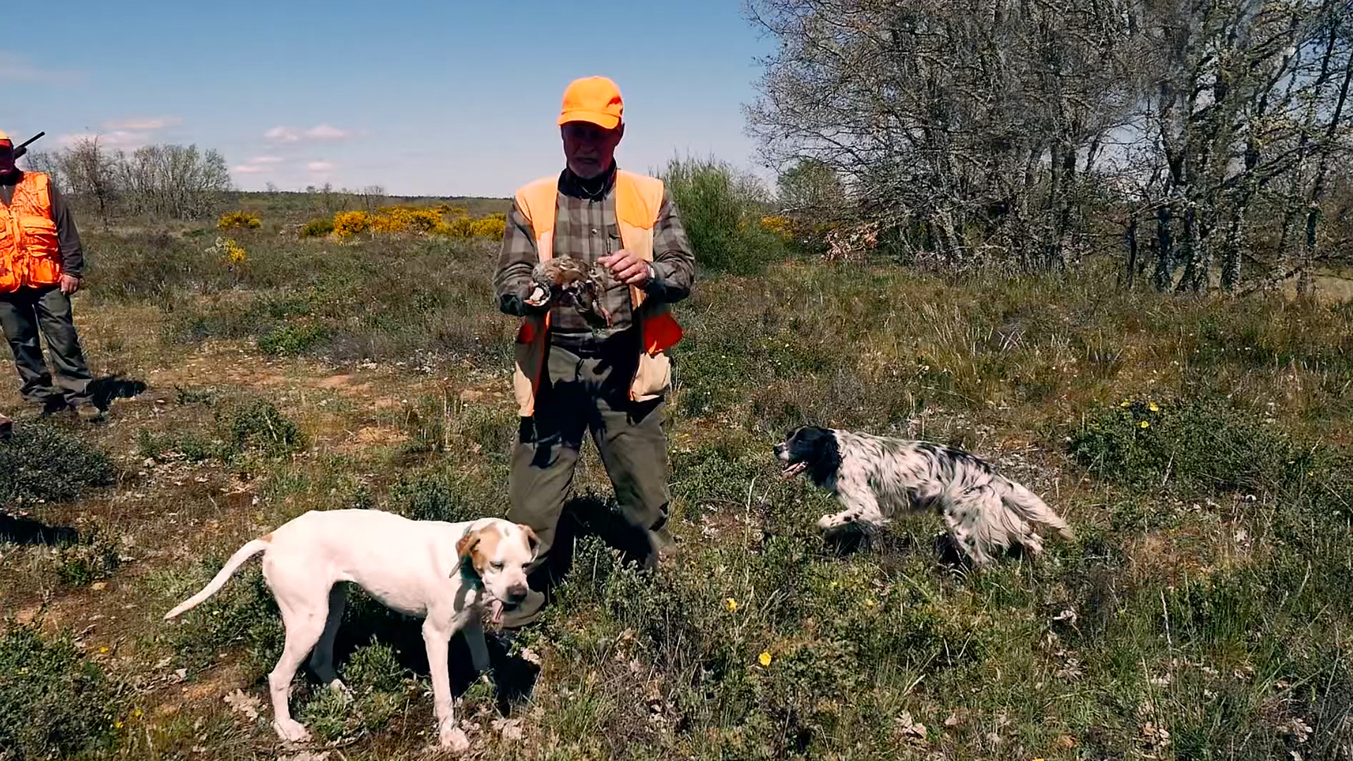 Perdices al salto en León