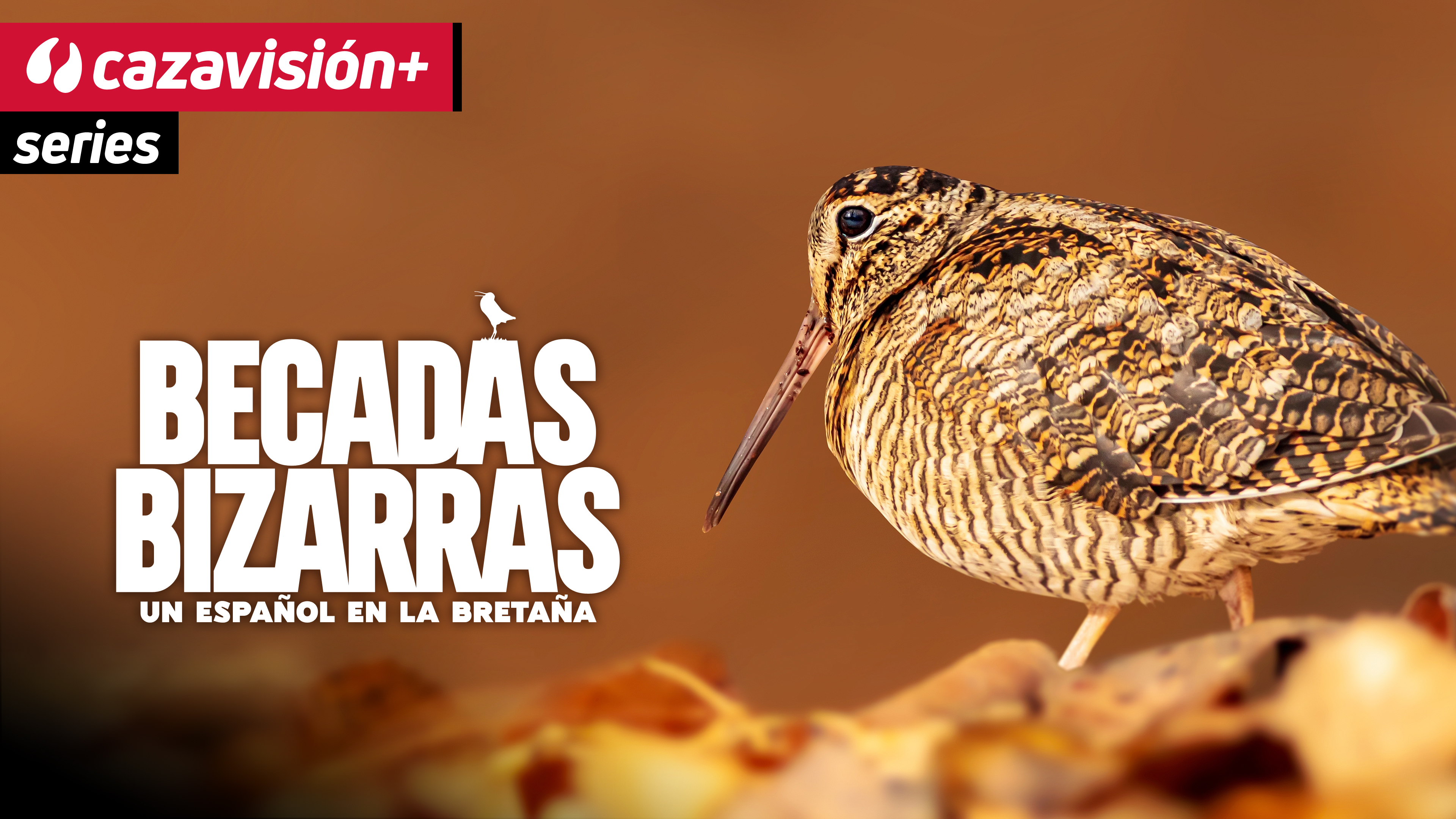 Becadas Bizarras