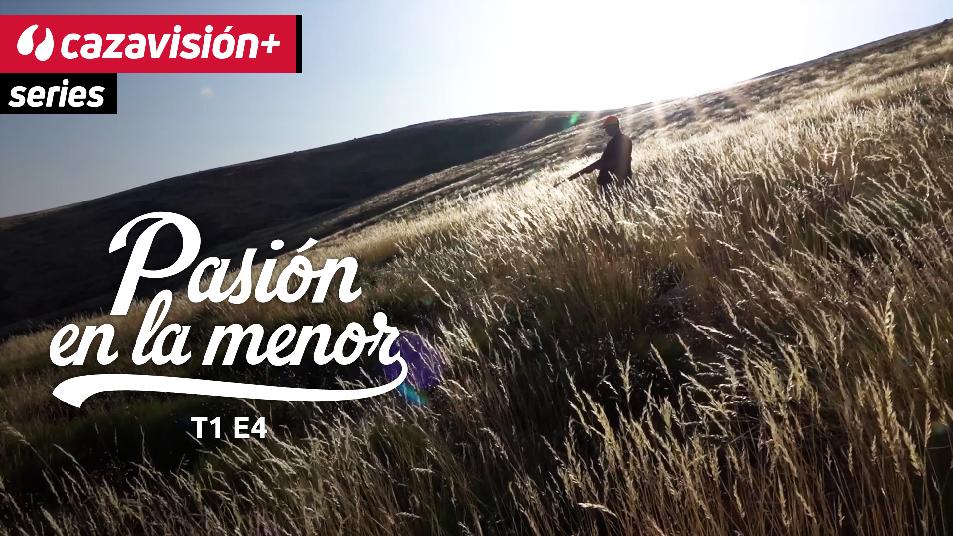 Codornices en las cumbres