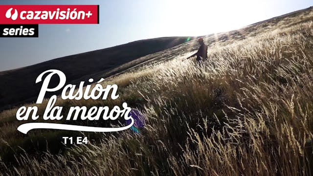 Codornices en las cumbres