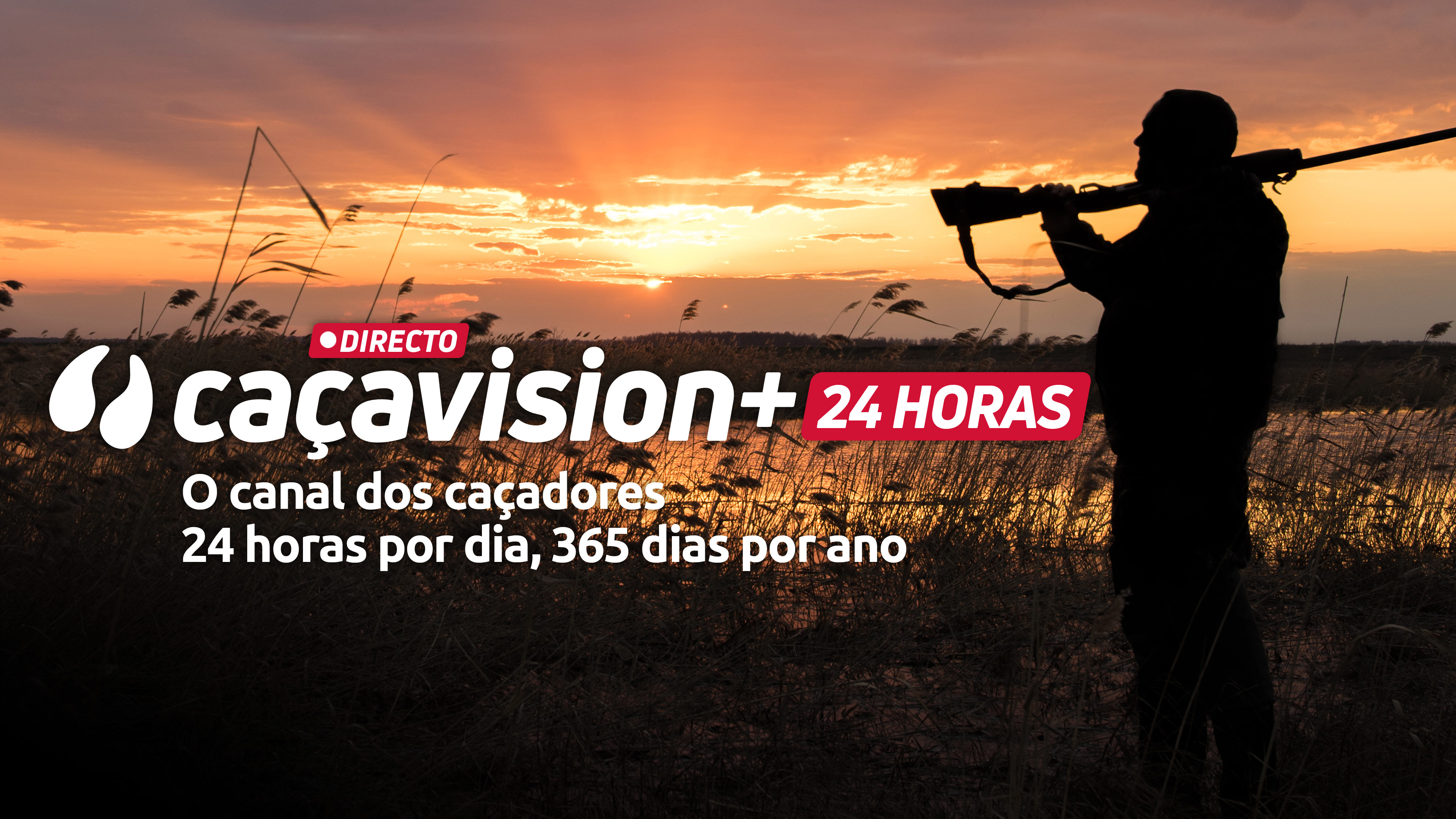 Cazavision 24/7 Portuguese
