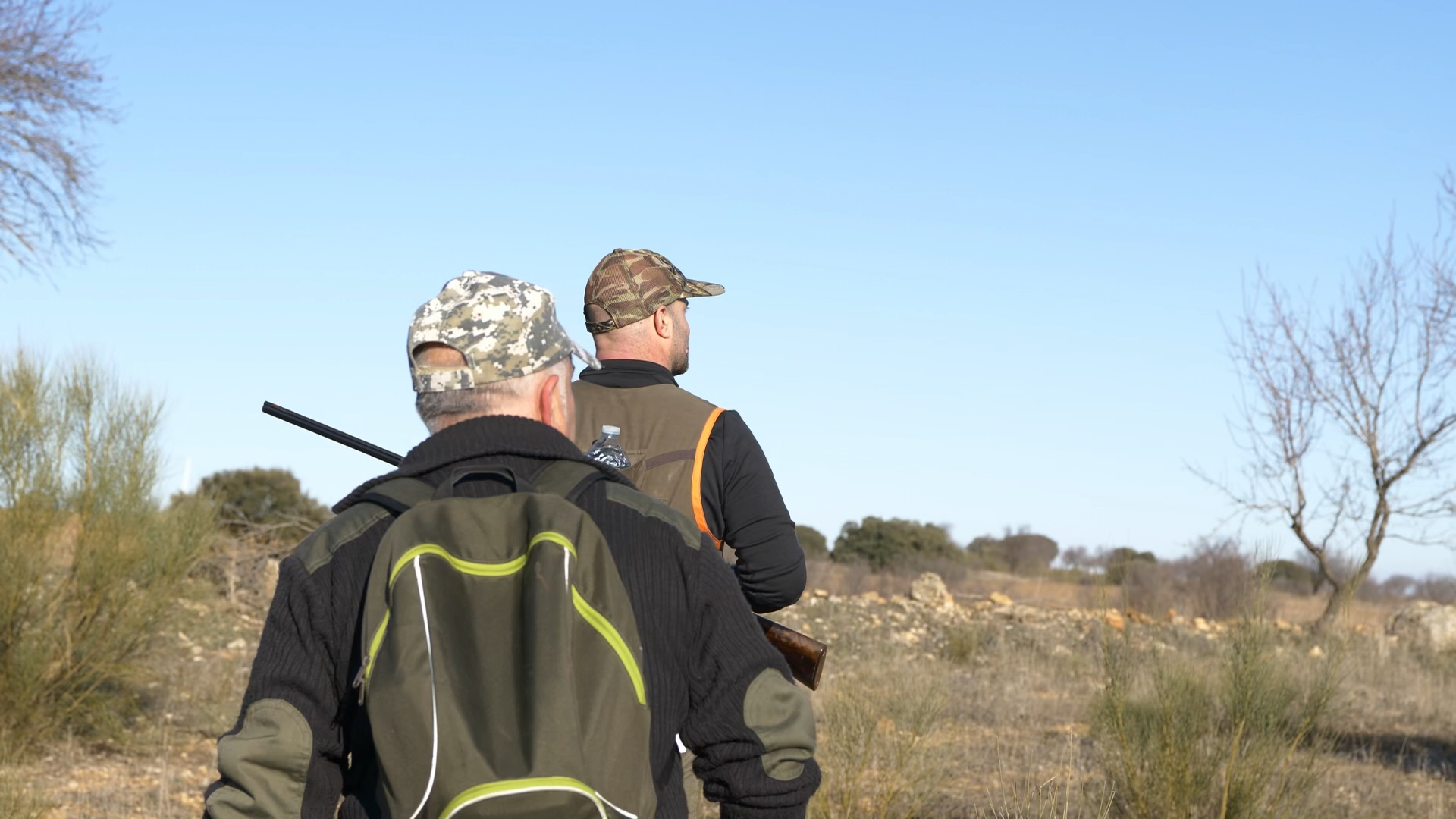 Perdices con pointers en Albacete