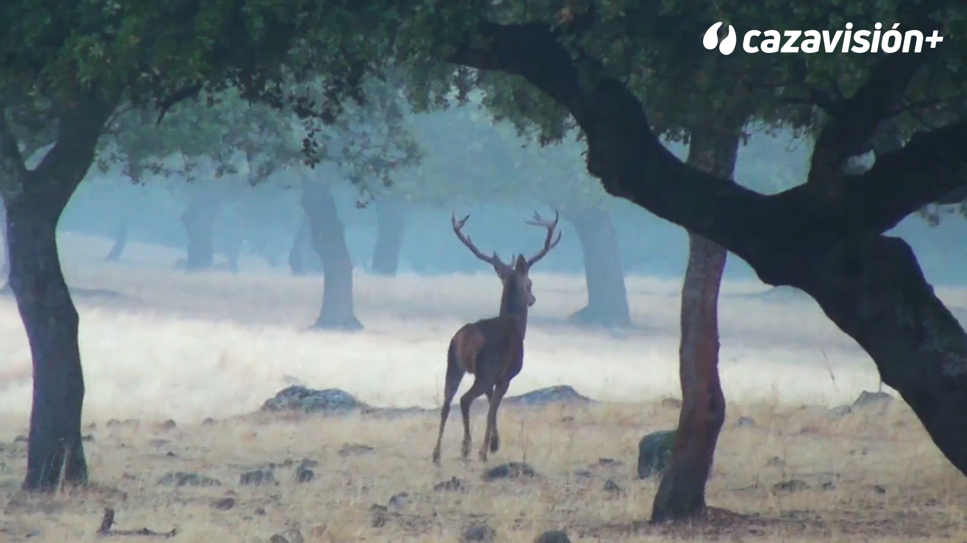 Montería en las Pilillas