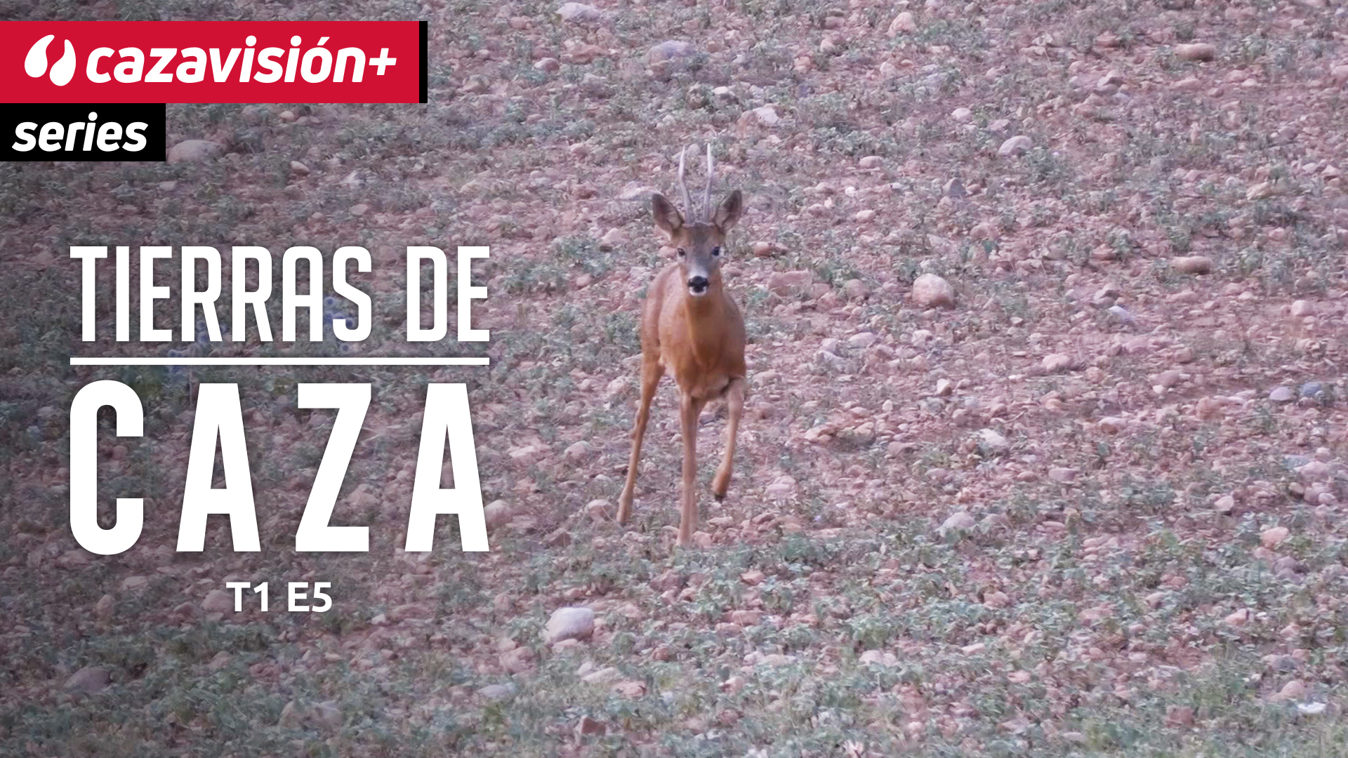 Vacaciones cinegéticas en Lérida