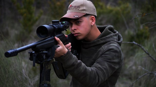 Primeros corzos de abril