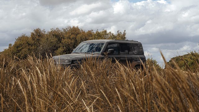 Muflones en Levante con Blaser Land R...