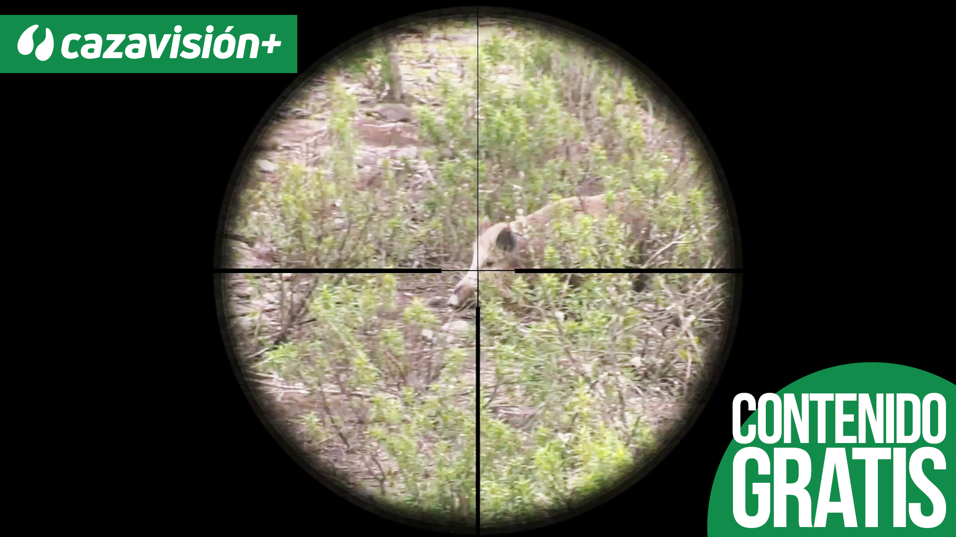 Montería entre amigos en el Alentejo portugués